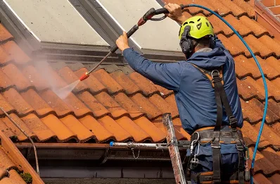Démoussage et hydrofuge de toiture à Freney
